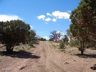 Hilltop Pioche, NV 89043 - Photo 9 of 21 View of landscape