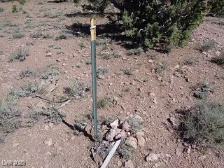Hilltop Pioche, NV 89043 - Photo 10 of 21 View of details