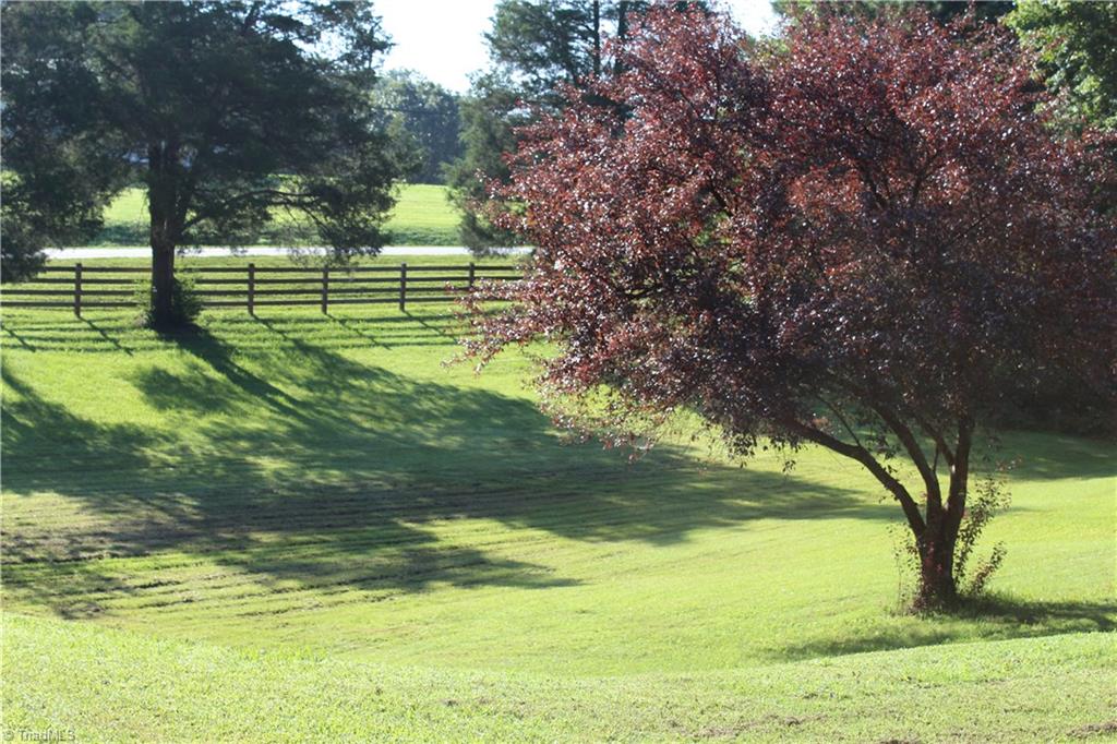 4933 Hopewell Church Road Trinity, NC 27370 - Photo 14 of 30
