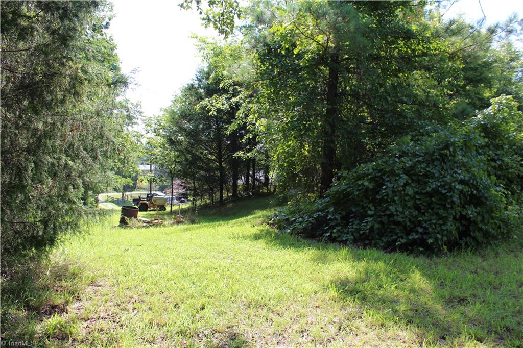 4933 Hopewell Church Road Trinity, NC 27370 - Photo 29 of 30