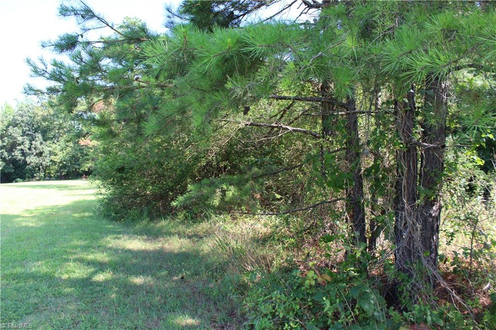 4933 Hopewell Church Road Trinity, NC 27370 - Photo 30 of 30