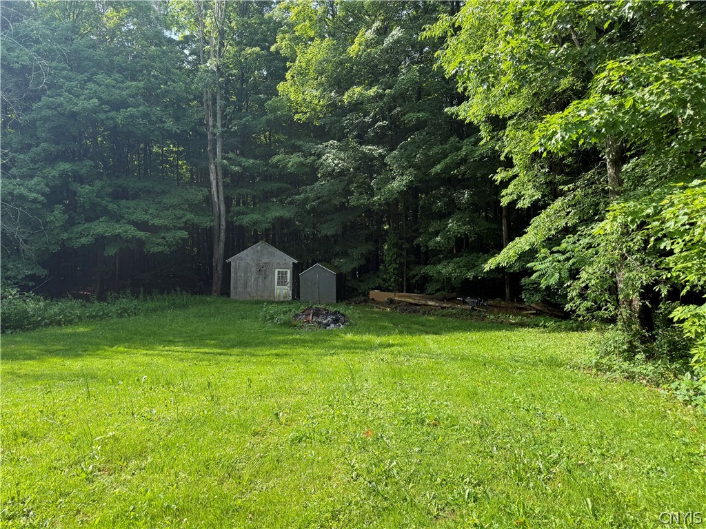 45 Black Creek Road Volney, NY 13126 - Photo 6 of 21