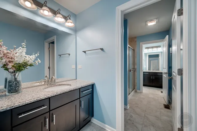 $999,999 | 3907 Nannyberry Street, Naperville, IL 60564