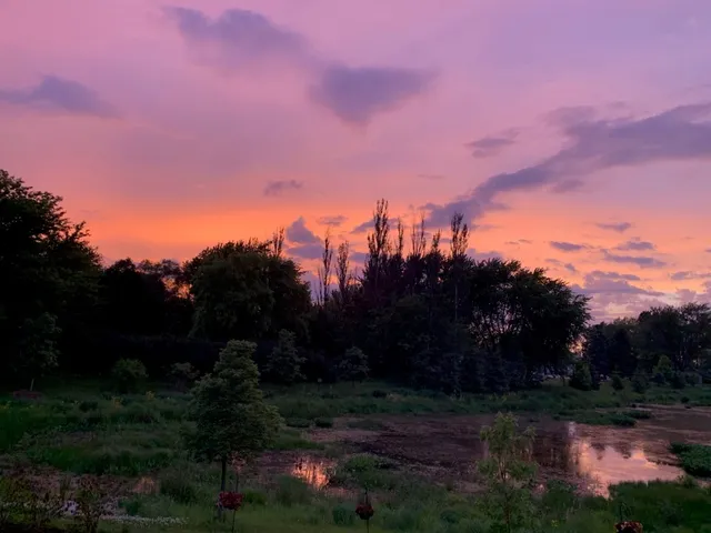 $999,999 | 3907 Nannyberry Street, Naperville, IL 60564