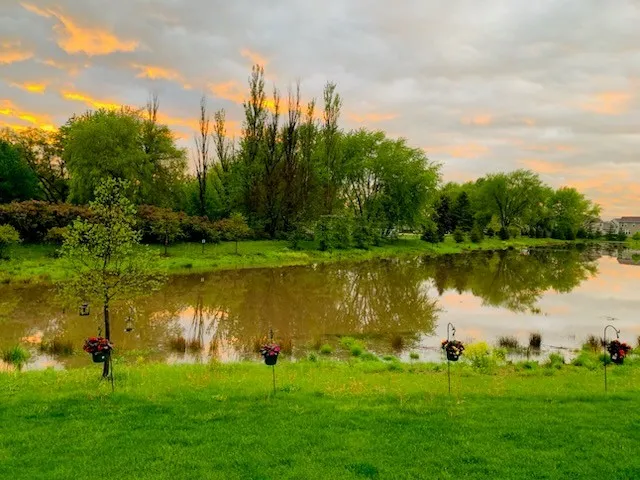 $999,999 | 3907 Nannyberry Street, Naperville, IL 60564