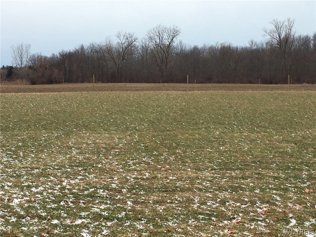 3340 Angle Road Orchard Park, NY 14127 - Photo 1 of 1 Gallery Image 1