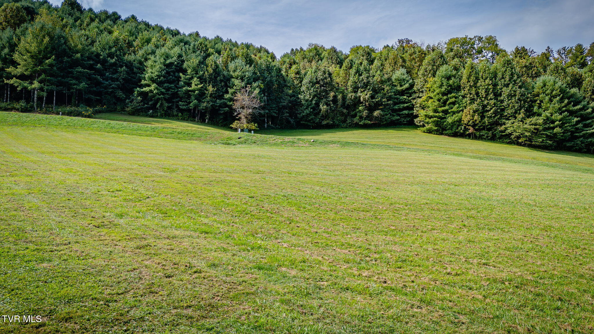 Lot 17 Cowan Town Road, Unit 17 Butler, TN 37640 - Photo 6 of 27 116