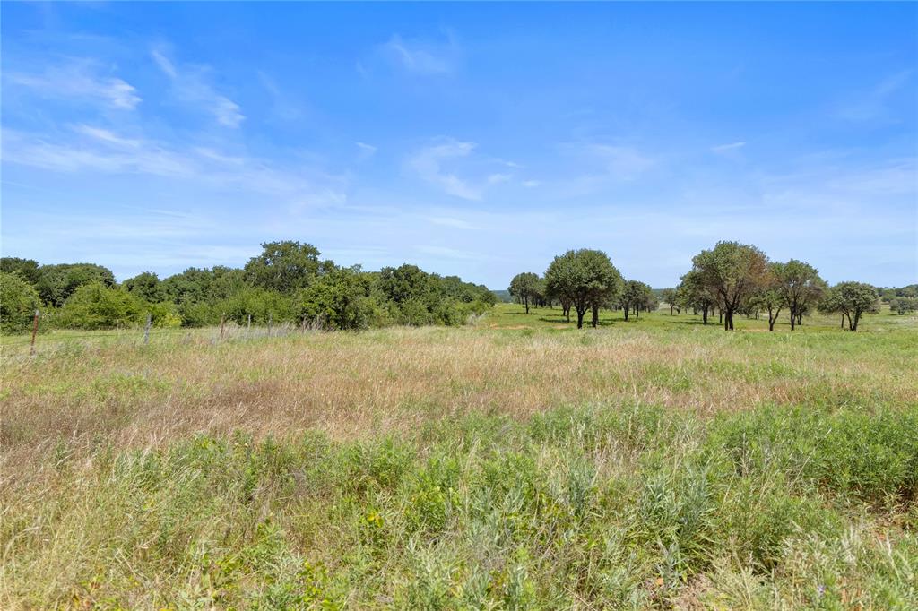 Tbd Berry Dairy Road Bryson, TX 76427 - Photo 5 of 39