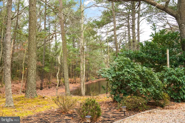 a view of a yard with large trees
