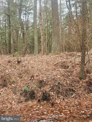 $899,000 | 11530 Country Club Drive, Berlin, MD 21811