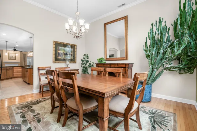 a dining room with furniture potted plants and wooden floor