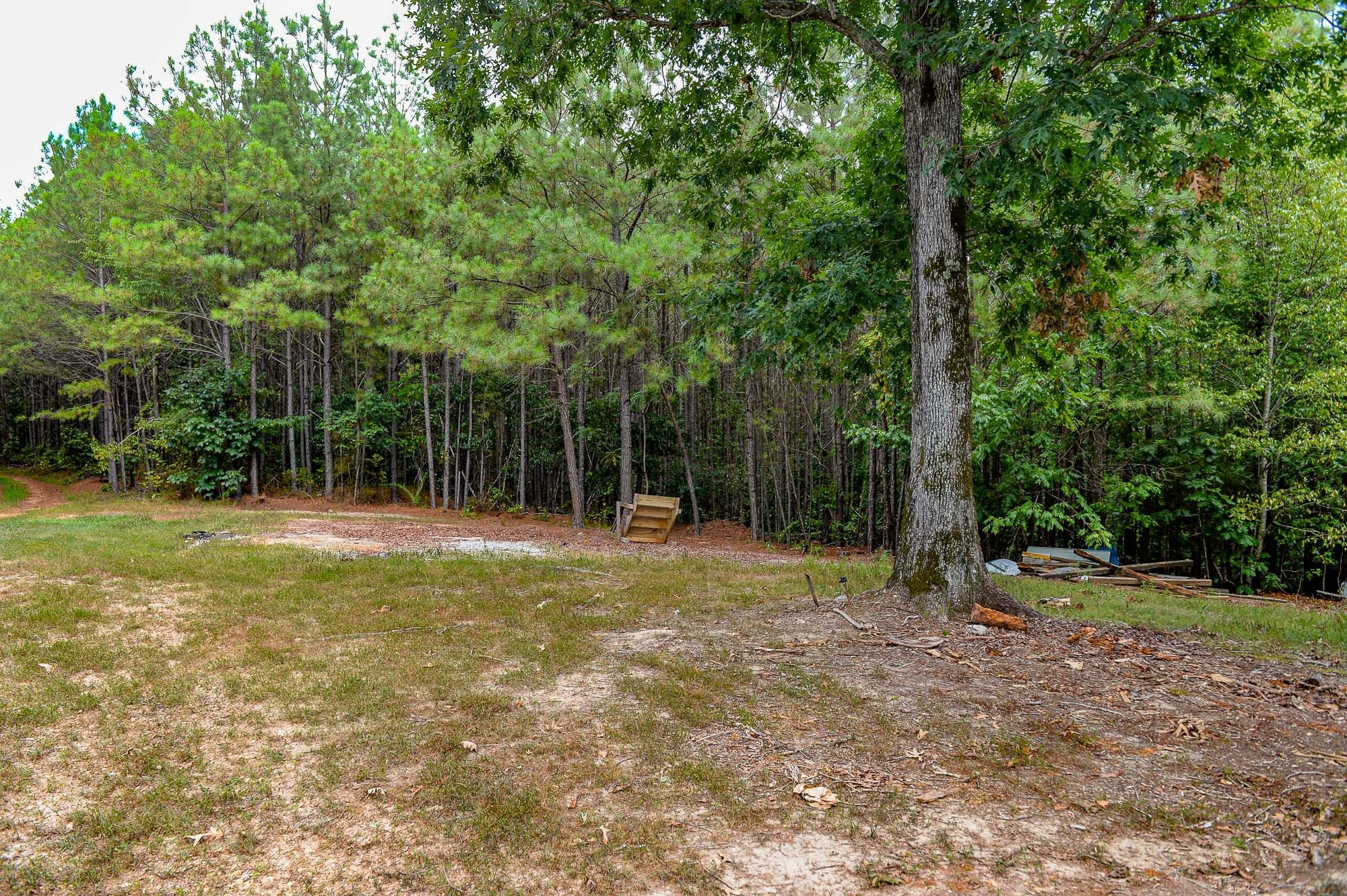 0 Brush Creek Road Linden, TN 37096 - Photo 7 of 22 a view of a yard with a tree