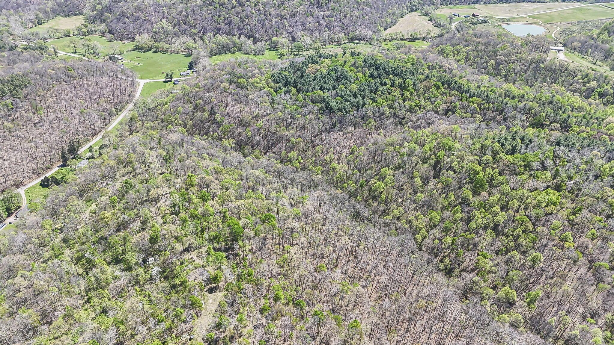 30083 Goosecreek Road McArthur, OH 45651 - Photo 10 of 29 10-web-or-mls-DJI_20260422012905_0049_D