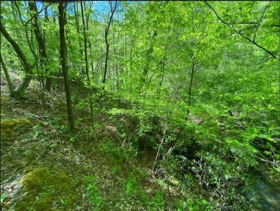 9999 Sleepy Holw Road Livingston, KY 40445 - Photo 10 of 19 Screenshot_20210728-230950_Flexmls Pro