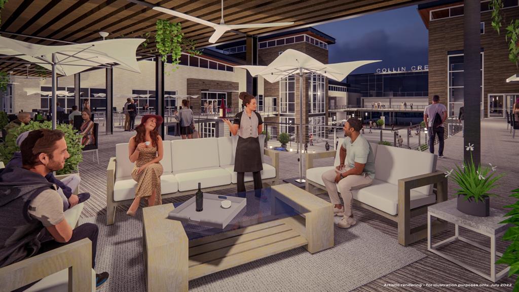 809 Concan Drive Plano, TX 75075 - Photo 33 of 40