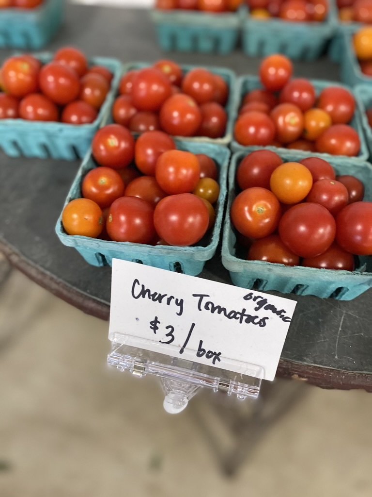 1007 Harris Road Grayslake, IL 60030 - Photo 27 of 32 a view of an outdoor space and front view of the house