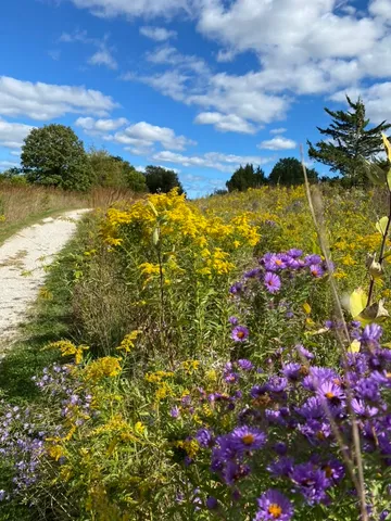 $519,000 | 1007 Harris Road, Grayslake, IL 60030