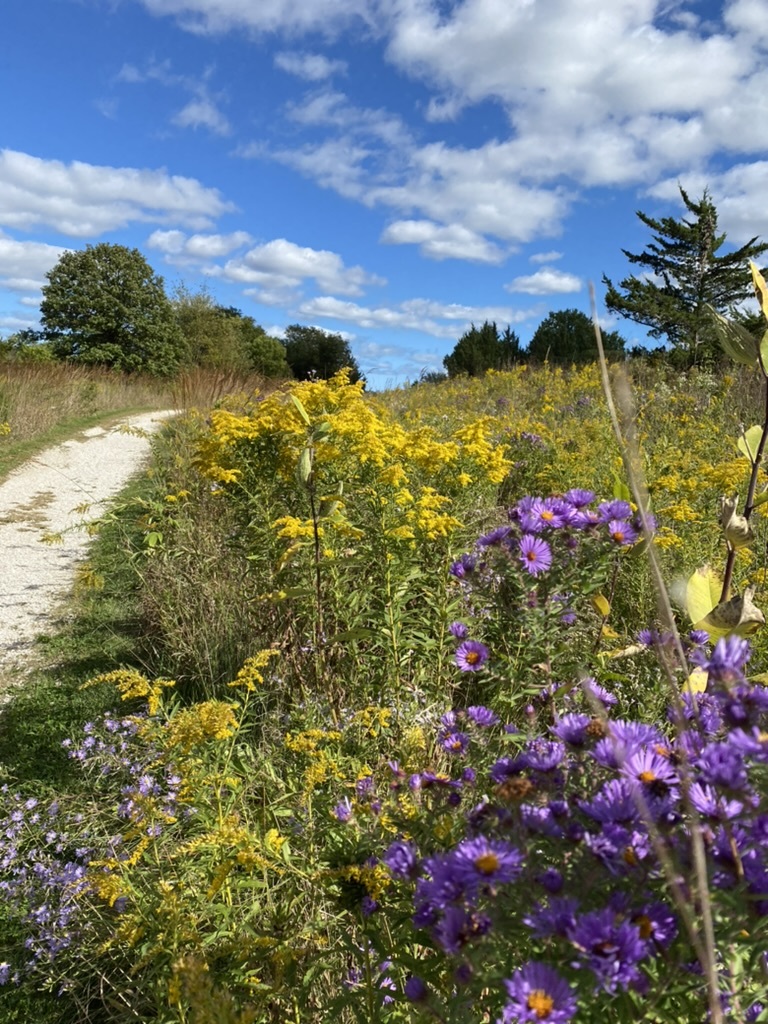 1007 Harris Road Grayslake, IL 60030 - Photo 30 of 32