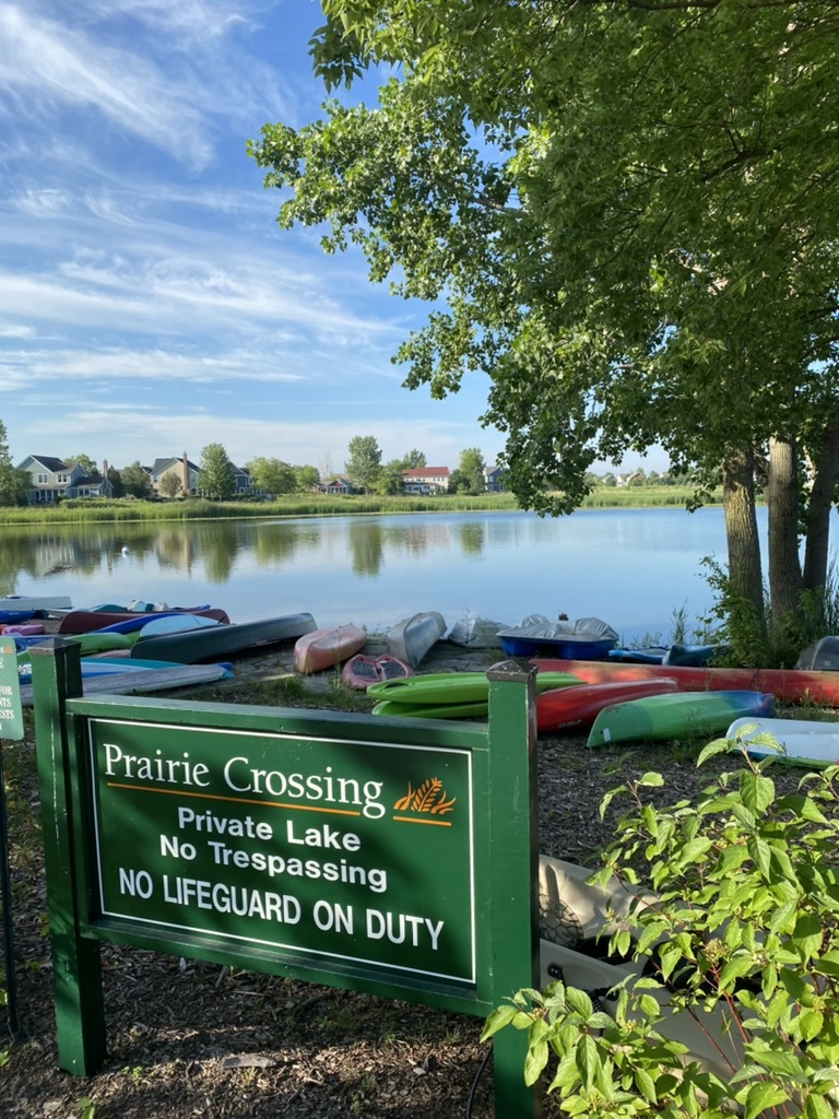 1007 Harris Road Grayslake, IL 60030 - Photo 31 of 32 a view of outdoor space with garden
