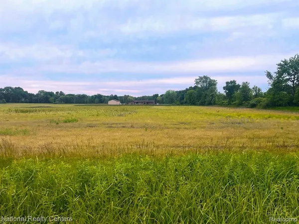 $60,000 | Parcel C Burt Road, Allenton, MI 48002