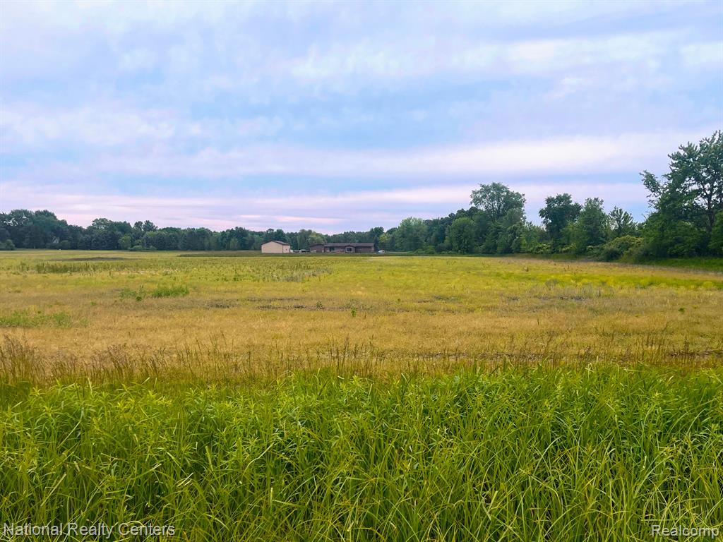 Parcel C Burt Road Allenton, MI 48002 - Photo 1 of 2