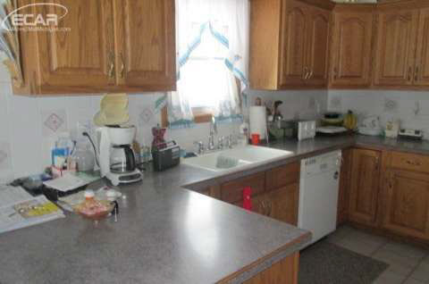 4520 Lone Road Freeland, MI 48623 - Photo 4 of 28