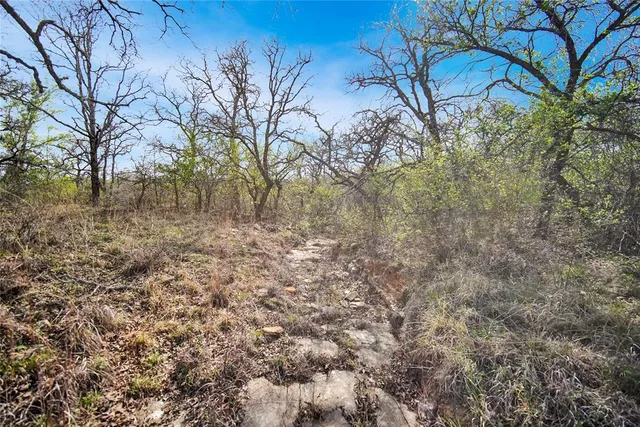 $550,000 | 44-acres Slusher Road, Jacksboro, TX 76458