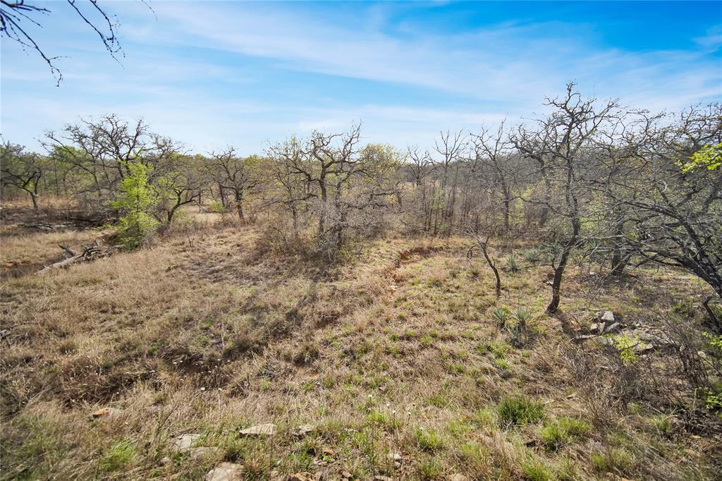 44-acres Slusher Road Jacksboro, TX 76458 - Photo 11 of 34