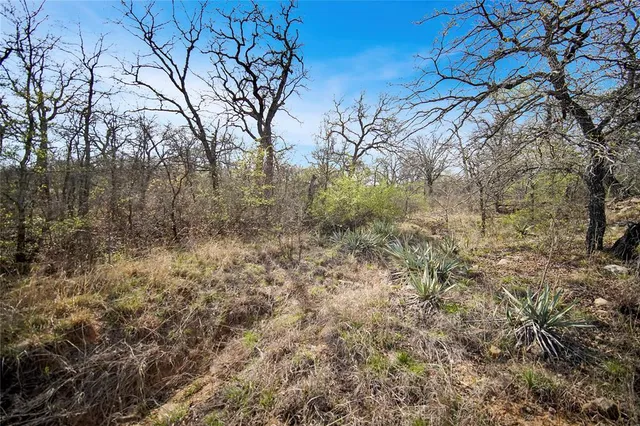 $550,000 | 44-acres Slusher Road, Jacksboro, TX 76458