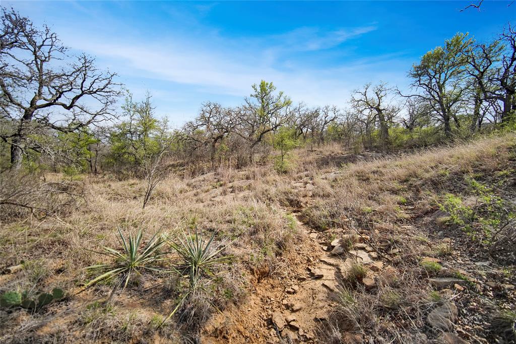 44-acres Slusher Road Jacksboro, TX 76458 - Photo 14 of 34