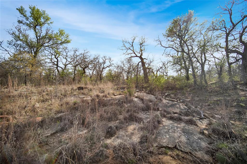 44-acres Slusher Road Jacksboro, TX 76458 - Photo 15 of 34