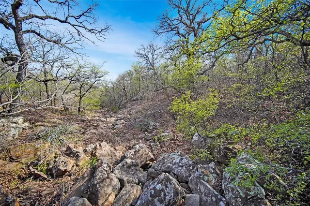 $550,000 | 44-acres Slusher Road, Jacksboro, TX 76458