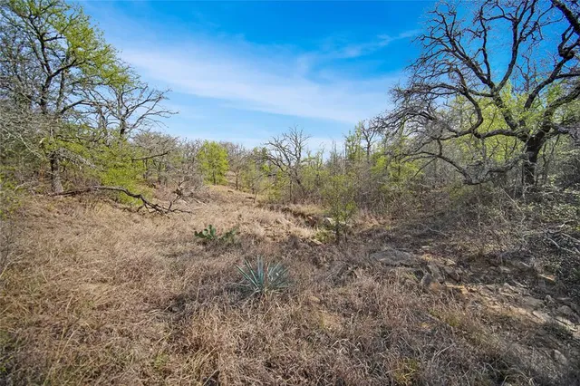 $550,000 | 44-acres Slusher Road, Jacksboro, TX 76458