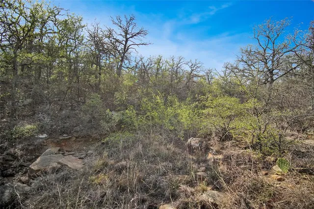 $550,000 | 44-acres Slusher Road, Jacksboro, TX 76458