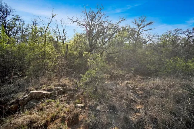 $550,000 | 44-acres Slusher Road, Jacksboro, TX 76458