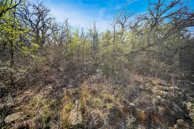 $550,000 | 44-acres Slusher Road, Jacksboro, TX 76458
