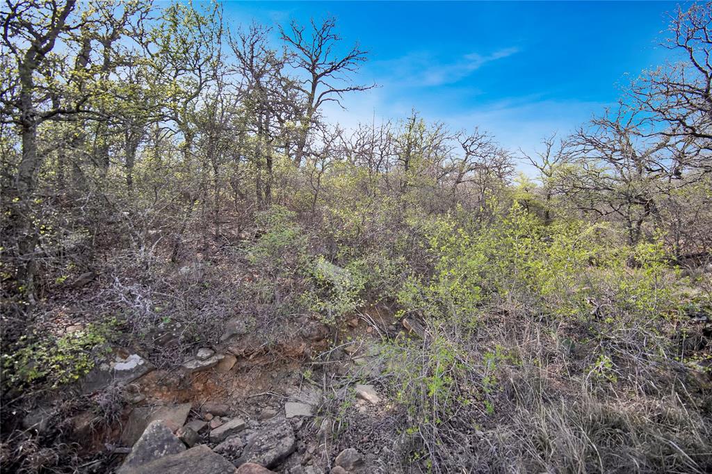 44-acres Slusher Road Jacksboro, TX 76458 - Photo 22 of 34