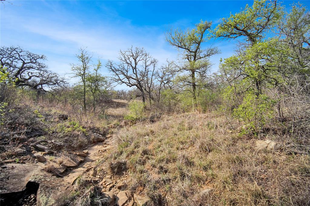 44-acres Slusher Road Jacksboro, TX 76458 - Photo 24 of 34