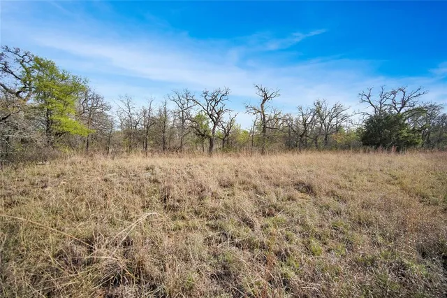 $550,000 | 44-acres Slusher Road, Jacksboro, TX 76458