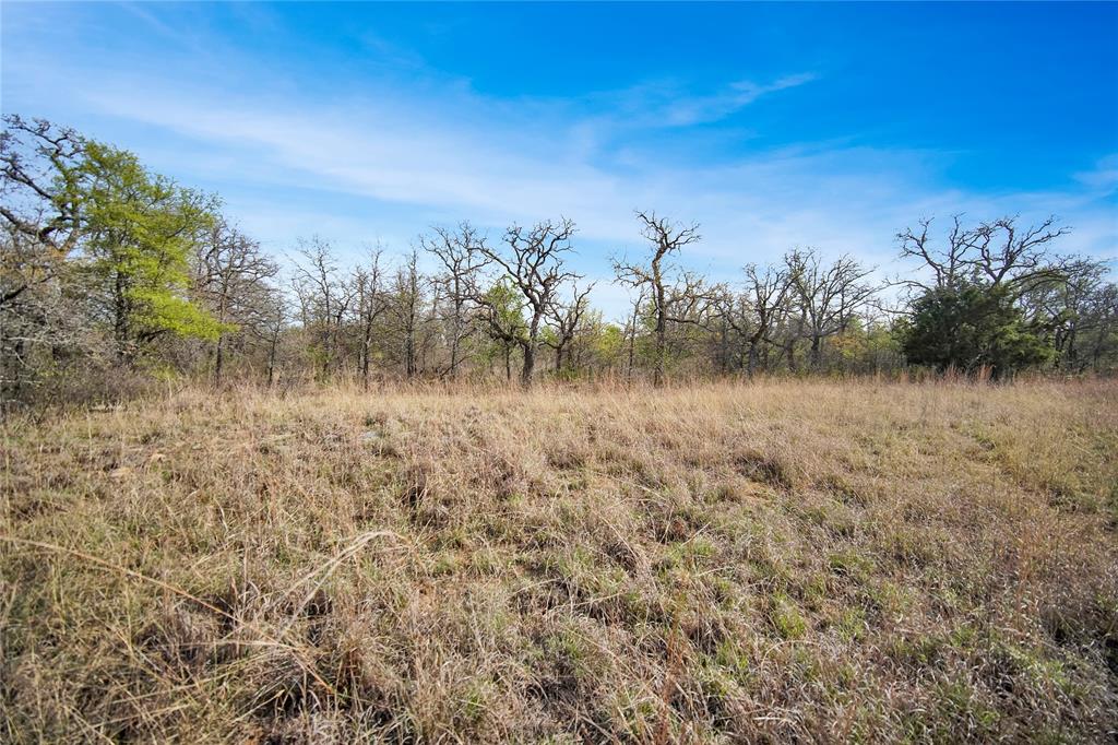 44-acres Slusher Road Jacksboro, TX 76458 - Photo 26 of 34