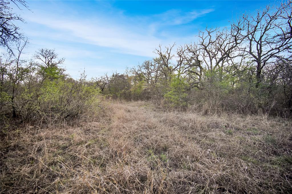 44-acres Slusher Road Jacksboro, TX 76458 - Photo 27 of 34