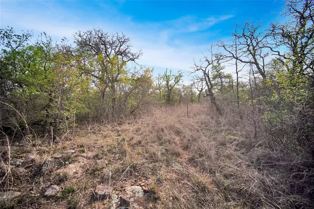 $550,000 | 44-acres Slusher Road, Jacksboro, TX 76458