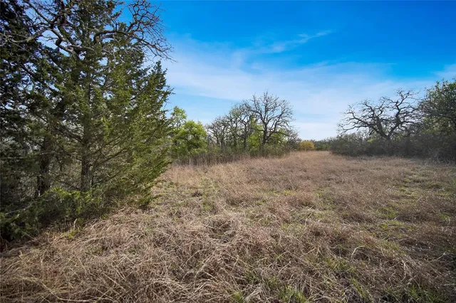 $550,000 | 44-acres Slusher Road, Jacksboro, TX 76458
