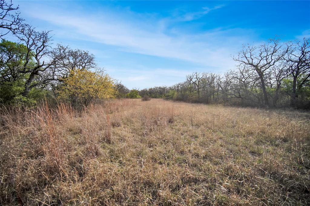 44-acres Slusher Road Jacksboro, TX 76458 - Photo 30 of 34