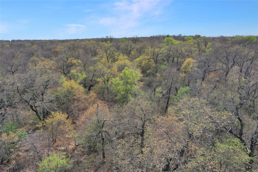 44-acres Slusher Road Jacksboro, TX 76458 - Photo 3 of 34