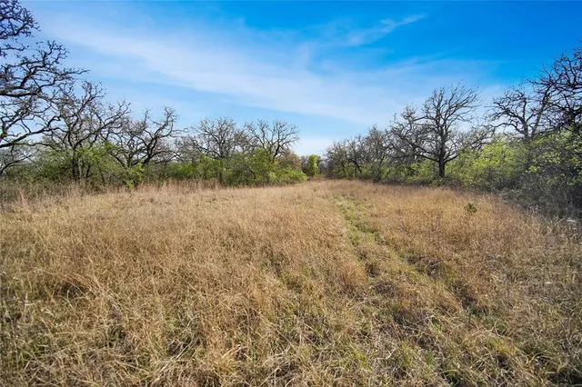 $550,000 | 44-acres Slusher Road, Jacksboro, TX 76458