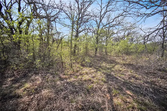 $550,000 | 44-acres Slusher Road, Jacksboro, TX 76458