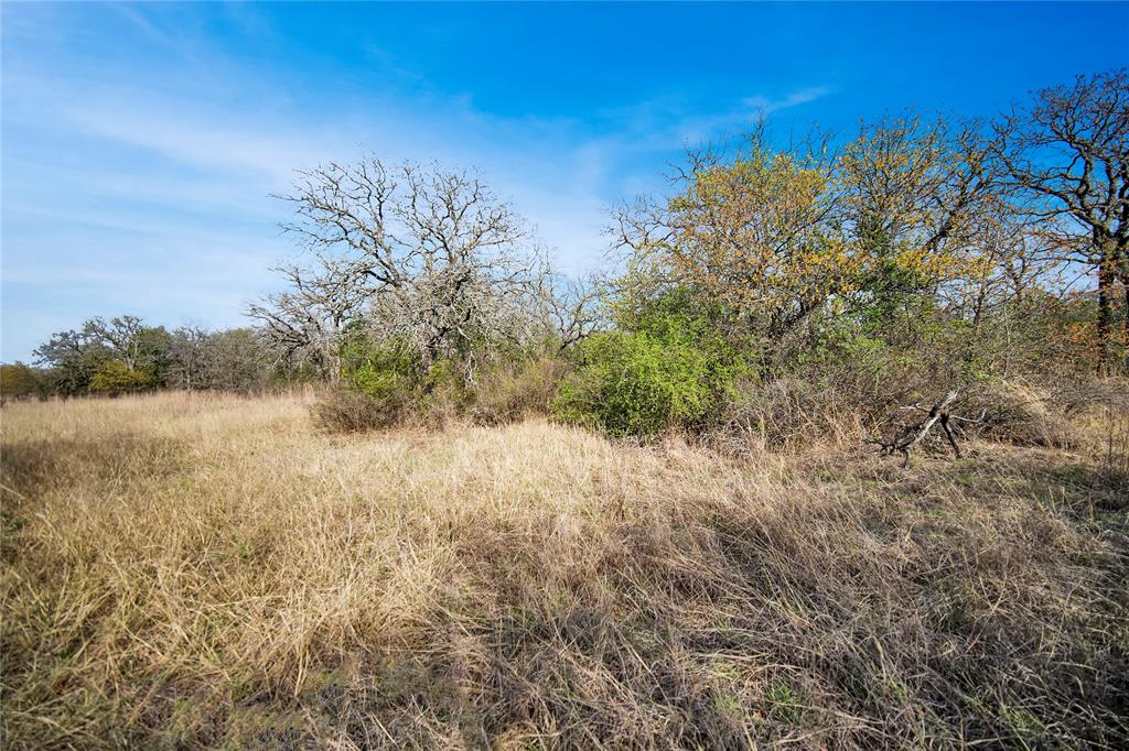 44-acres Slusher Road Jacksboro, TX 76458 - Photo 33 of 34