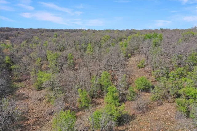 $550,000 | 44-acres Slusher Road, Jacksboro, TX 76458
