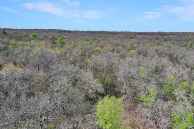 $550,000 | 44-acres Slusher Road, Jacksboro, TX 76458